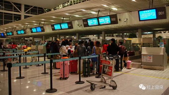 坐飛機(jī)能免費(fèi)帶多少行李