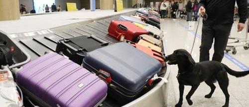 韓國機場港口將強化安檢 旅客入境時間延長