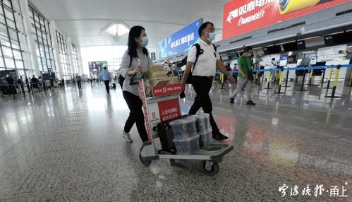 寧波機場楊梅托運熱，一單四千引熱議 是特色服務還是天價行李費？