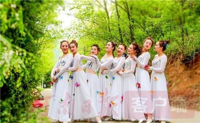 首屆全球文旅創作者大會（盧氏分會場）暨2019中國盧氏槐花節精彩開幕